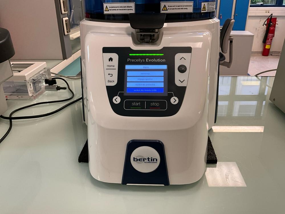 Diapositiva 10